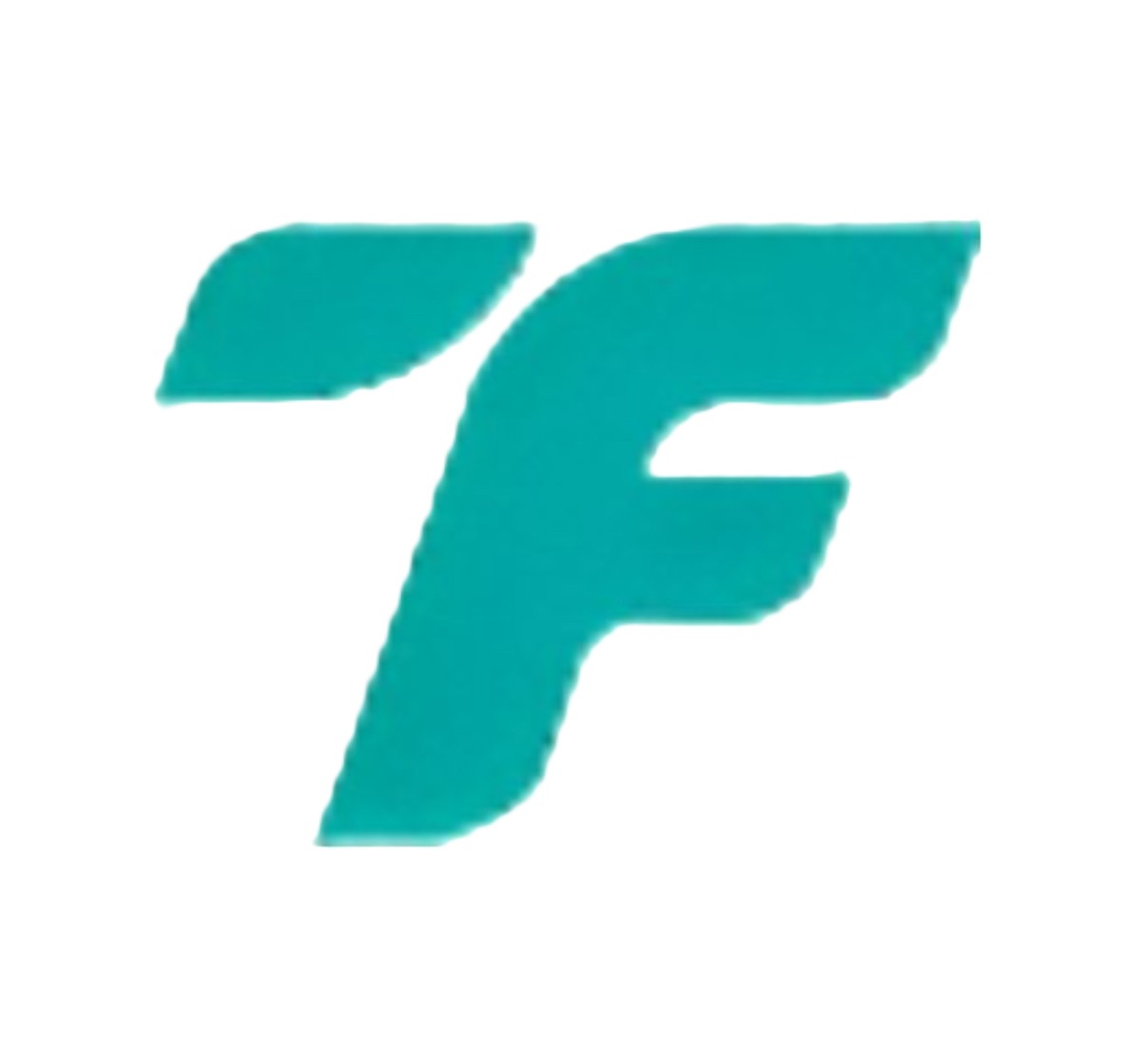 테크핀투자자문 로고